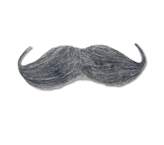 Grå Engelsk Mustasch