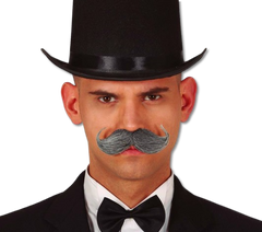 Grå Engelsk Mustasch