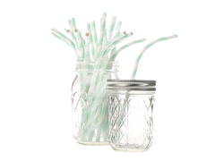 Böjda Sugrör Papper Mint